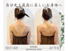 シェデル(SHEDEL Spa)