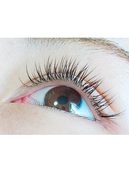 初めての方にオススメ