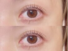 アイラッシュマルヴァ(Eye Lash Malva)