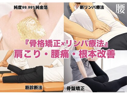 ワカバ(Wakaba)の写真