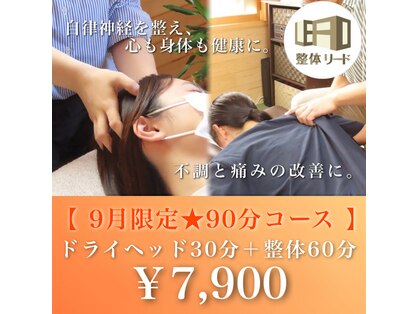 整体リードの写真