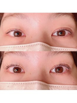 シピリカ(Shiprica.)/