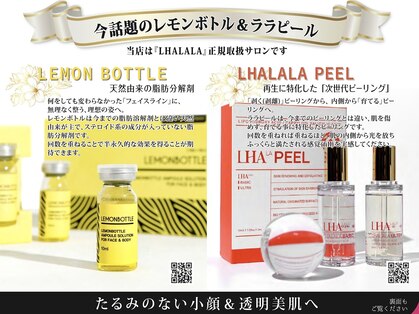 ブルーム(bloom)の写真