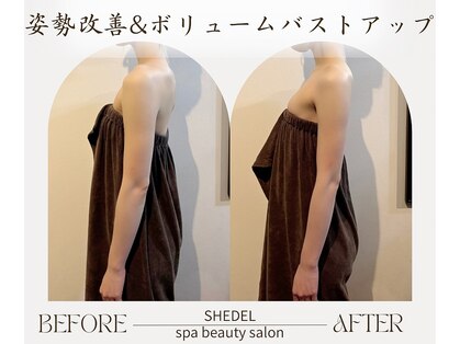 シェデル(SHEDEL Spa)の写真