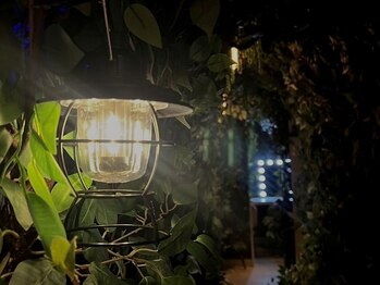 森の雨やどり 天神店/店内は森の内装