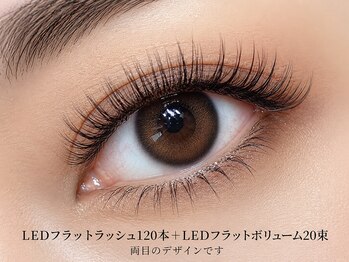 チック(chick)/LEDフラット120本＋20束追加