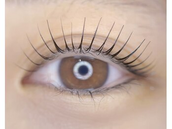 メゾンド シャルム カラット(maison de charme carat)/立ち上げデザイン