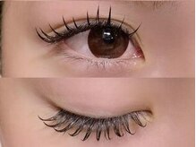 アイラッシュマルヴァ(Eye Lash Malva)