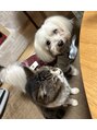 リシェル 横浜店(Richelle)&nbsp;実家の愛犬愛猫が可愛いです！