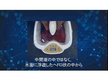 からだケア健康ショップ/メーカー資料　３４