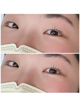 ポタラ(Potala)/ダメージレスラッシュリフト