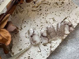 3月ニュアンス定額