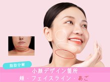 エルビア エステ ドゥ パリ(Elevia Esthe de Paris)