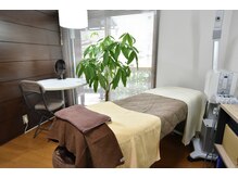 フェリシア(felicia)/