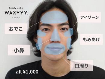 ハリウッドブロウリフト ワクシー 表参道店(HOLLYWOOD BROW LIFT WAXYYY.)/オプション/Sパーツワックス脱毛