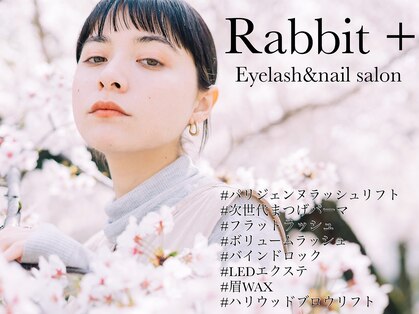 ラビット(Rabbit)の写真
