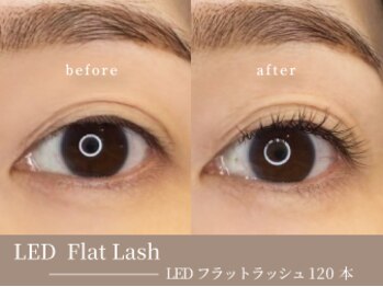 ベルル(Bellulu)/LEDエクステ120本