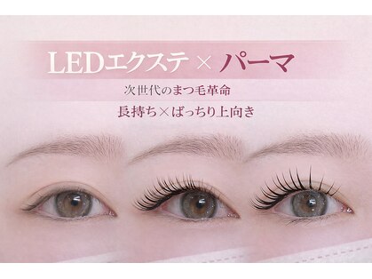 ホワイト(WHITE)の写真