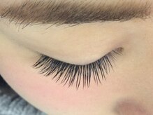 シュシュ(chou chou)/セーブル140本(chouchou吉祥寺)