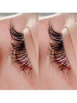 ジョリー(Jolie)/