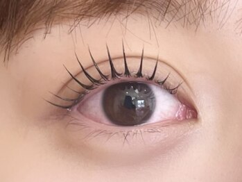 カランコエ(Kalanchoe)の写真/【圧倒的、モチがいいまつげパーマ♪】丁寧なカウンセリングと施術で、あなたの理想のお目元をご提案◎