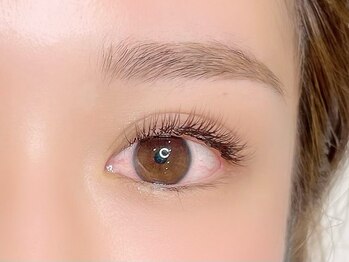 シル シェノン(cil shenon)/フラットラッシュ160本