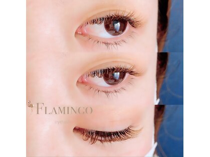 フラミンゴアイラッシュ(FLAMINGO eyelash)の写真