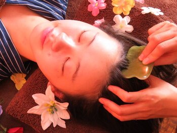 プリモア(Primore)/首+ヘッドカッサ