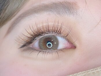 くるり 上野店/ブラウンフラットラッシュ160本