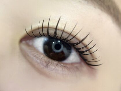 アルディ(hardi)の写真