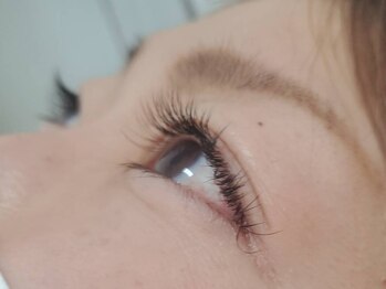 エスファムドットアヤ(Sfam.Aya)の写真/《自然に馴染むお目元に…☆》燕三条エリアで安い価格を実現◎モチの良さも抜群でキレイな目元が長続き♪