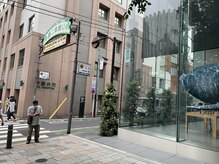 アオイ 表参道(Aoi)/道順[ヘッドスパ/表参道]