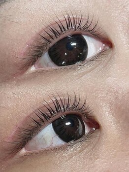 パンダアイラッシュ 上野(panda eyelash)/