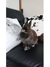 リボディ調整院 上野(Re-body調整院)/動物好きな施術者・石井の家族