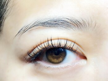 バモス(Vamos)/フラットセーブル120本☆