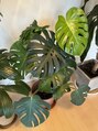 ラヴィッシュ(LAVISH)&nbsp;お世話に応えてくれる植物達を見ると嬉しくなります