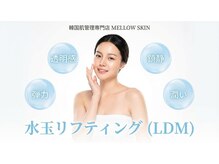 メロウスキン(MELLOW SKIN)の雰囲気(肌を育てるLDM)