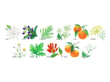 ヨサパーク バク(YOSA PARK BAKU)/厳選されたルルオンハーブ