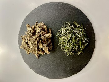 ノフ 名古屋本山本店(nof)/熟成よもぎで特別なよもぎ蒸しを