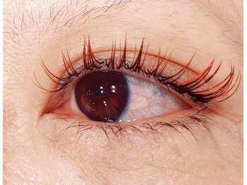 アンジーヘッドオフィス(ANZY Head office)/バインドロックボルドーブラウン