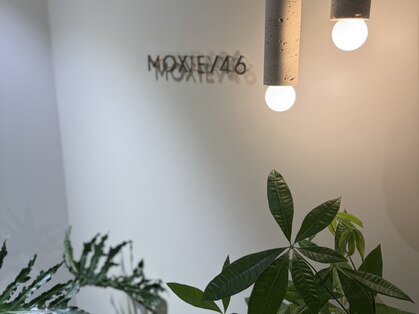 MOXIE GYM/46 名古屋 丸の内の写真