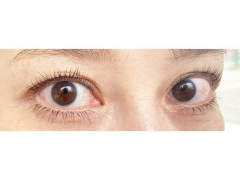 テイラー(Taylor)/ラッシュリフト　SATO