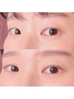 シピリカ(Shiprica.)/