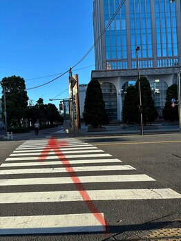 ヨサパーク 和(YOSA PARK)/信号渡る