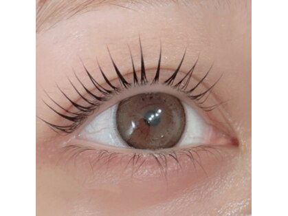 ルポ(repos.)の写真