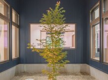 ほねつぎ極癒/【中庭】