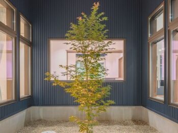 ほねつぎ極癒/【中庭】