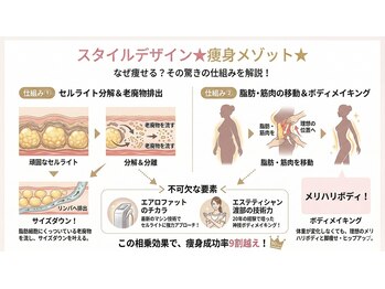 痩身 セル脂肪専門 スタイルデザイン/スタイルデザイン★痩身メソッド