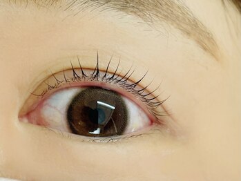 キト(KITO)/◇似合わせまつげパーマ