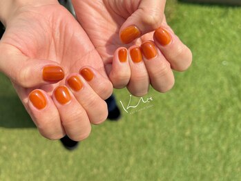 クレー(Klee)/美ワンカラー